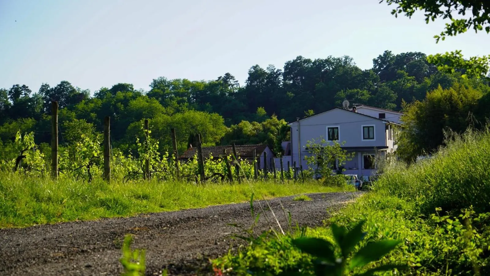 مبيت وإفطار كابانّوري Wine House فندق مبيت وإفطار